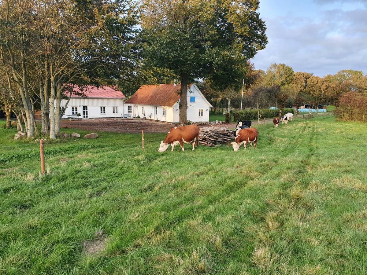 Slotsgaardens Feriegard. Appartement Jels Buitenkant foto